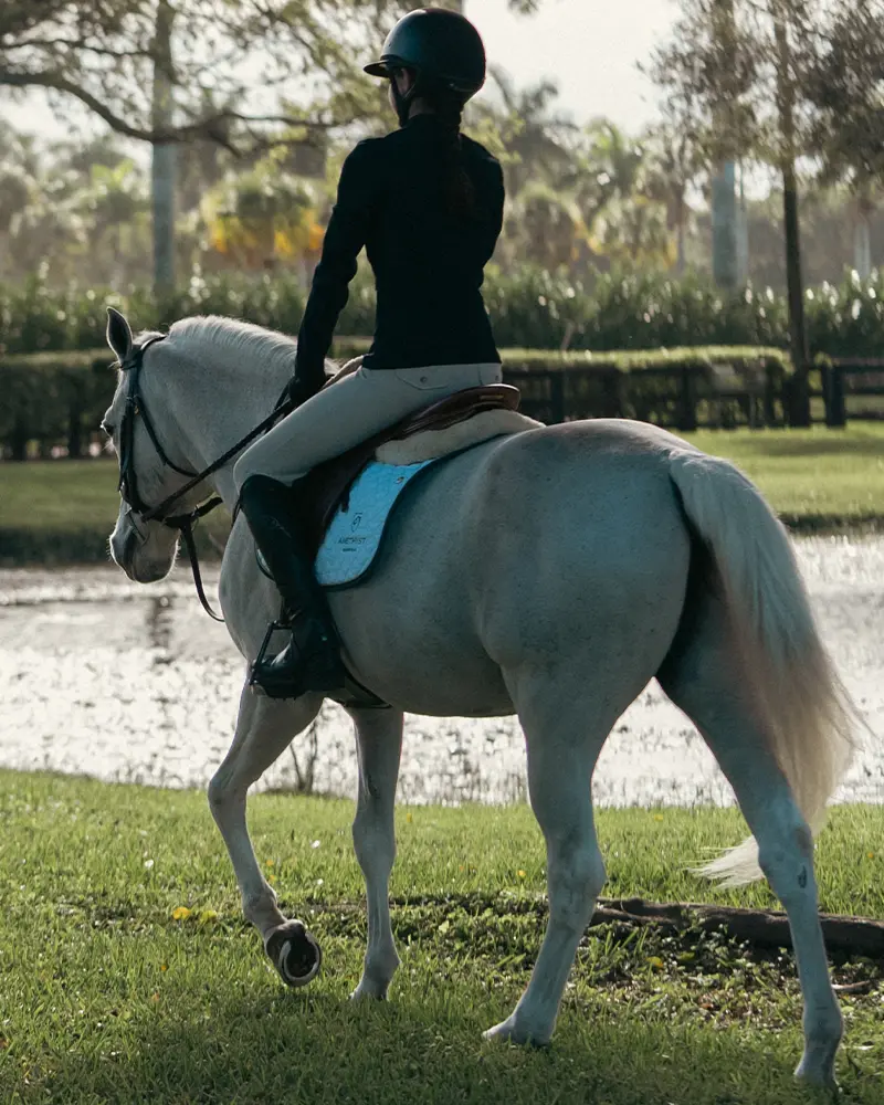 Giovani - Pantalon d'équitation - Image 21