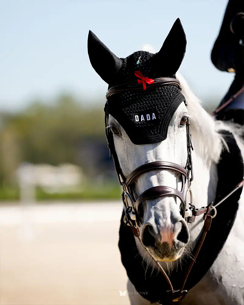 Polias - Bonnet pour chevaux - Image 5